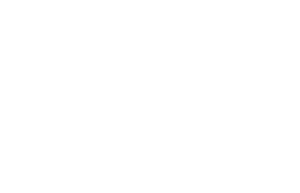 RML Guitars